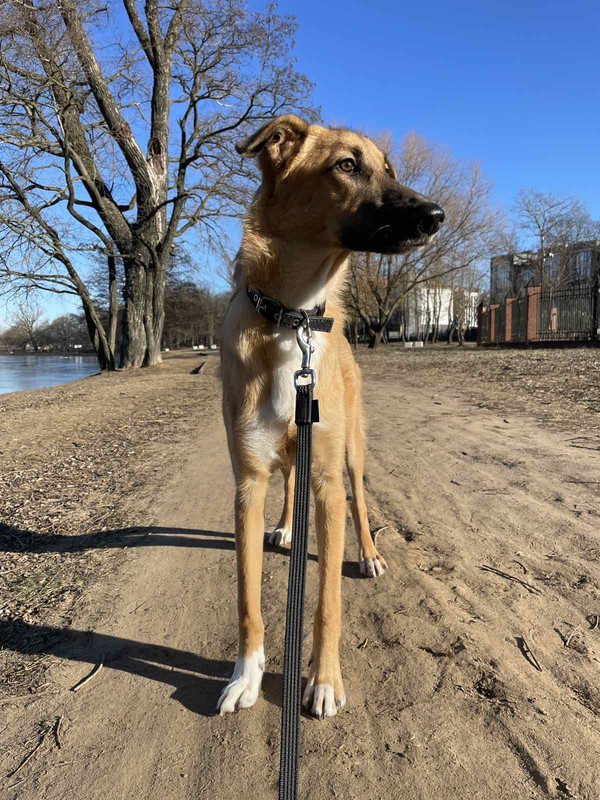 ED115027-DD81-4CCD-A9A2-051FDA6D416C