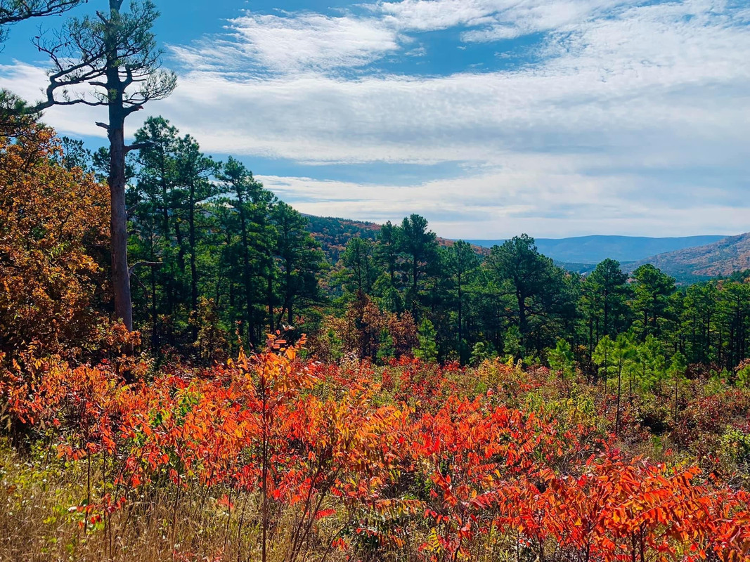 22D54D63-A533-454C-816A-91C32F4722EB