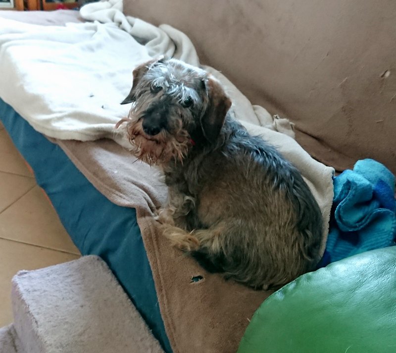 [Image: 20231115-134131.jpg]