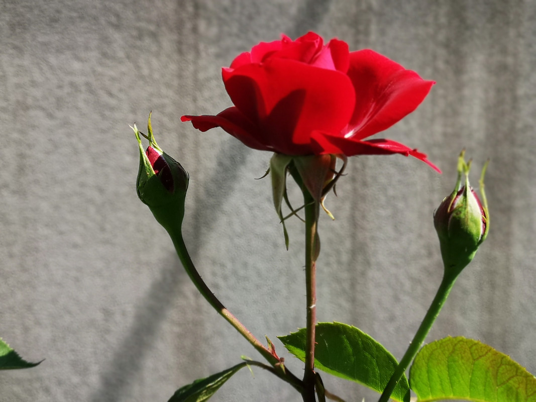 [Obrazek: IMG-20190613-101500.jpg]