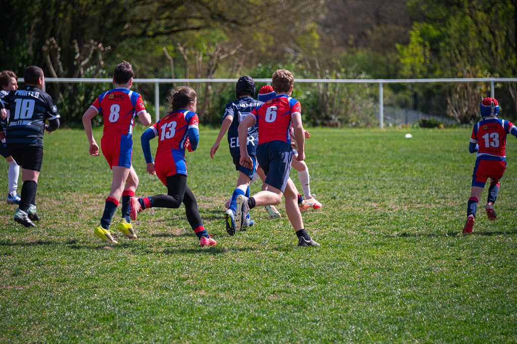 tournoi-de-latlantique-2026-adonis-griffon-4-55181460223-l