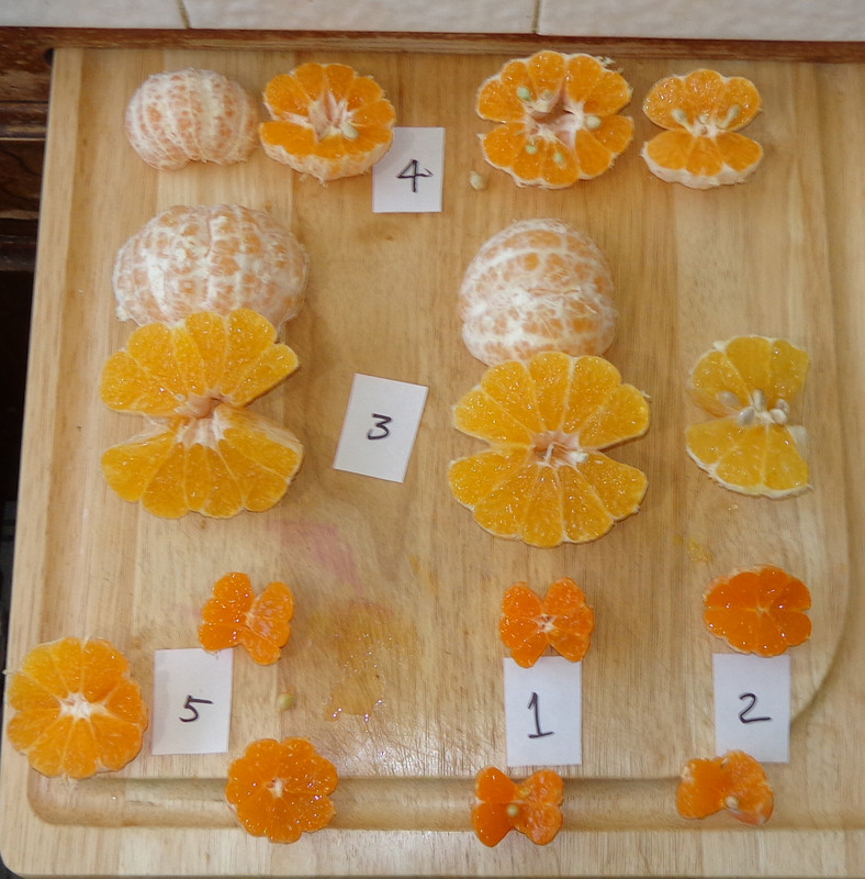 Xie_Shan-Taste-Update(11-28-21)4