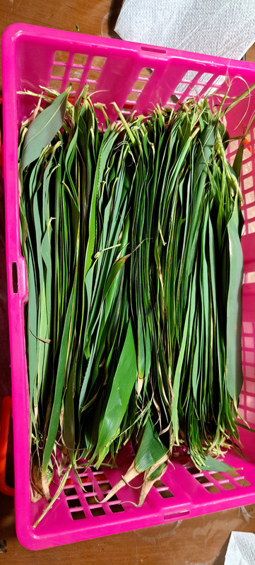 [Image: 20230719-230953.jpg]