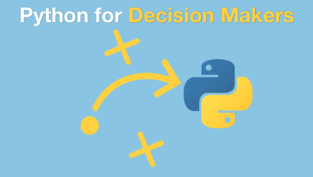 Python for decision makers and business leaders