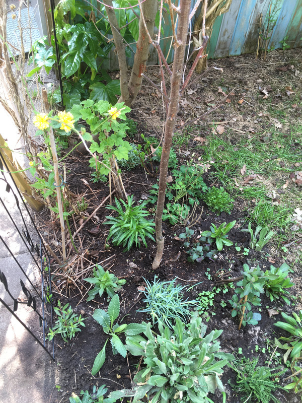 45687DBA-3069-4653-B7A0-3C727C3435CB