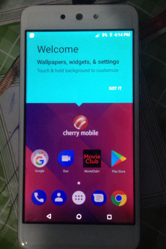 40764439_263482274283033_6256565558293037056_n