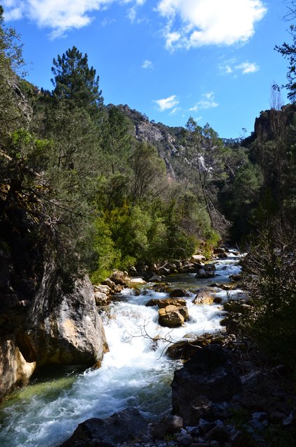 RUTA RIO BOROSA-12-3-2016-JAEN - Paseando por España-1991/2016 (55)