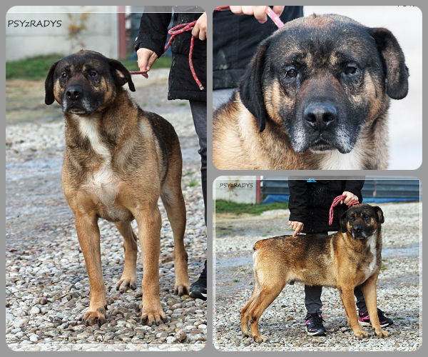 BeFunky-collage (15)