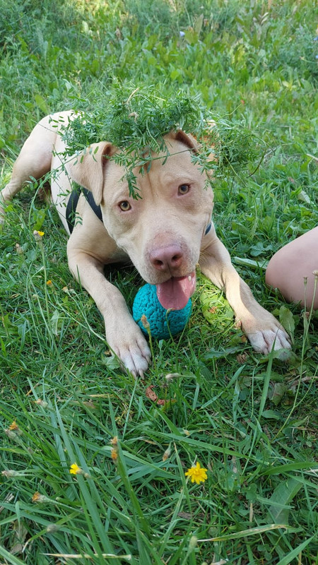 00ADE721-C42B-44E0-9185-050D607564F7