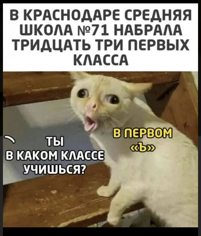 FEE9285F-4C42-429F-9374-C18CEF3AAE2E