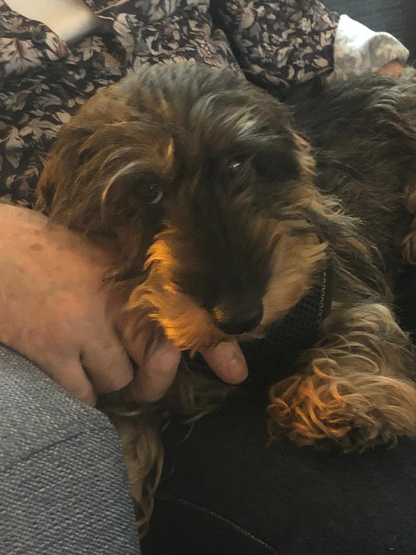 [Image: IMG-20250521-WA0002.jpg]