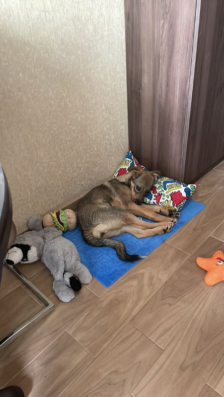 86CE8663-01F6-4C90-BF86-728793F7C9E9