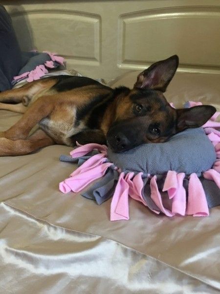 F22FFB43-A601-4579-B08B-D2A0752F978B