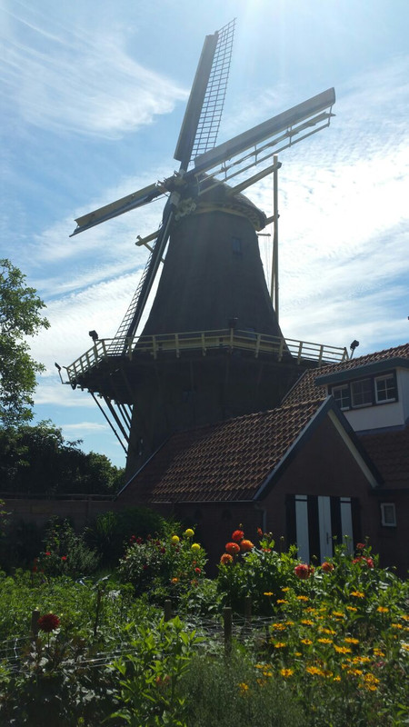 Molen Nooit gedacht 03 Warnsveld