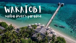 Wakatobi
