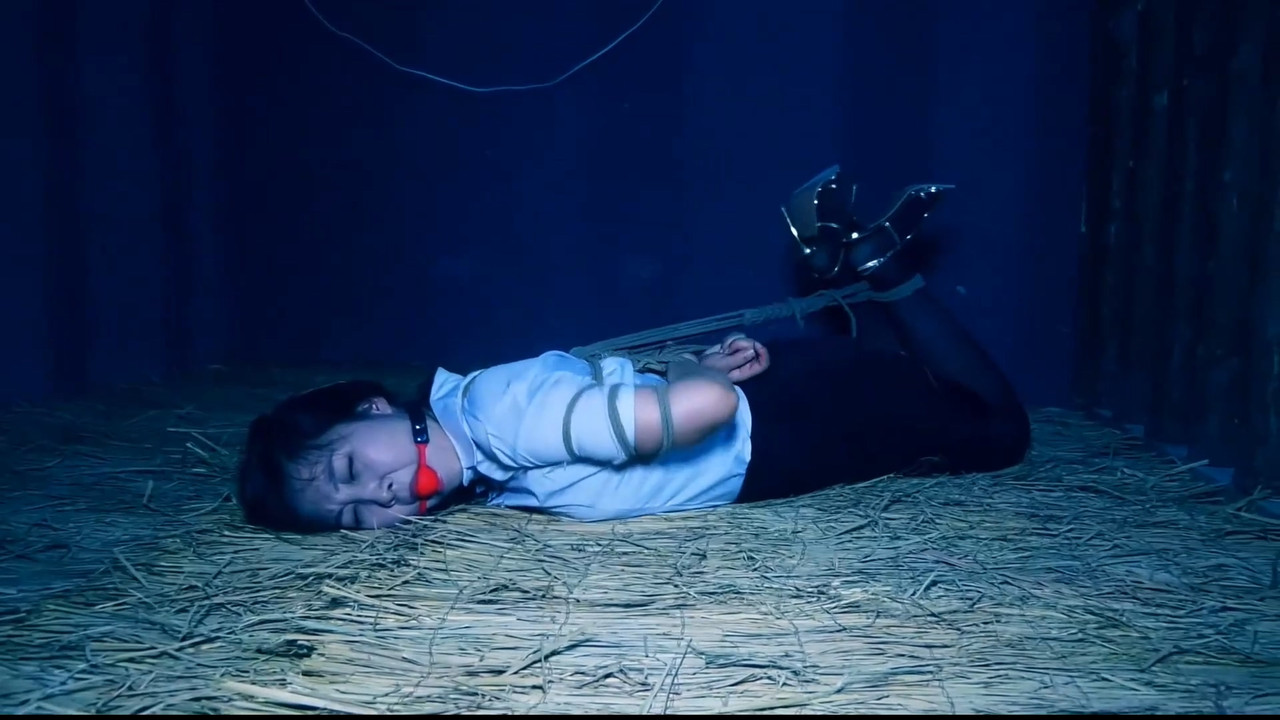 胜景影视 双花卧底 一.mp4_20241224_131111.664