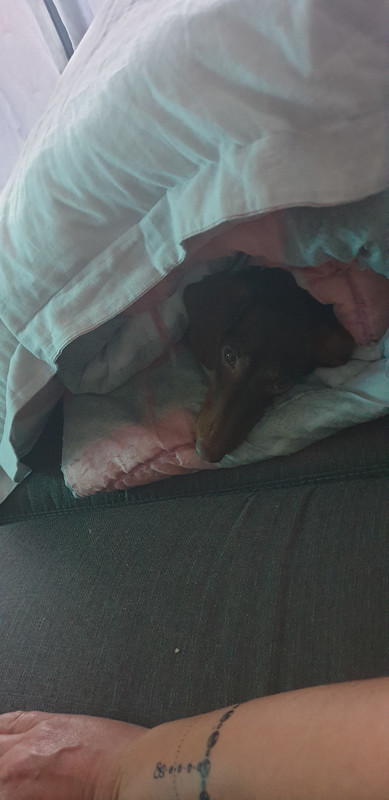 [Image: 20200630-220716.jpg]