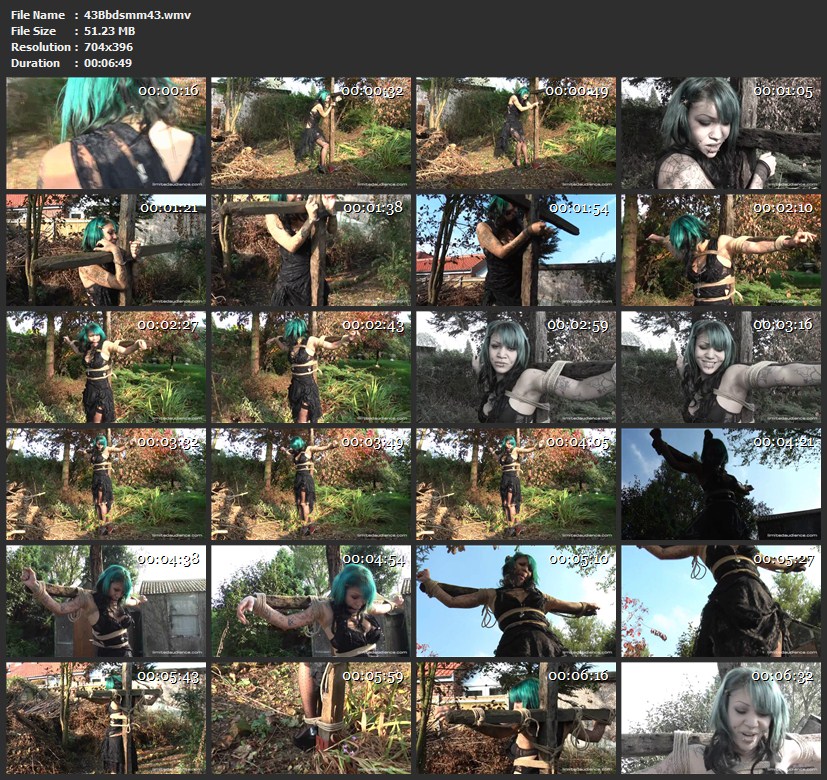 43Bbdsmm43.wmv