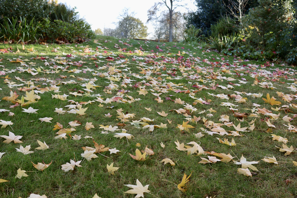 84D78C3F-753A-45D1-83A5-C4343A2C7CF7