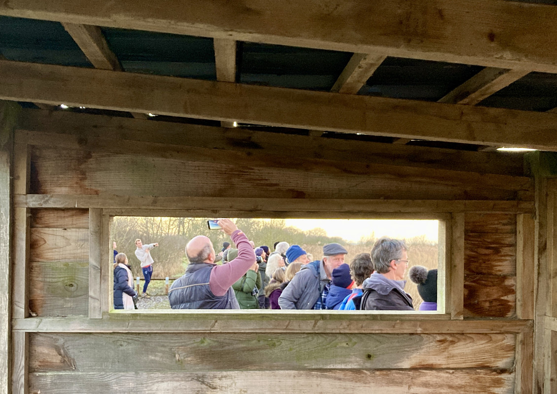 3499E1BD-57D7-4528-8576-3772444EA22E