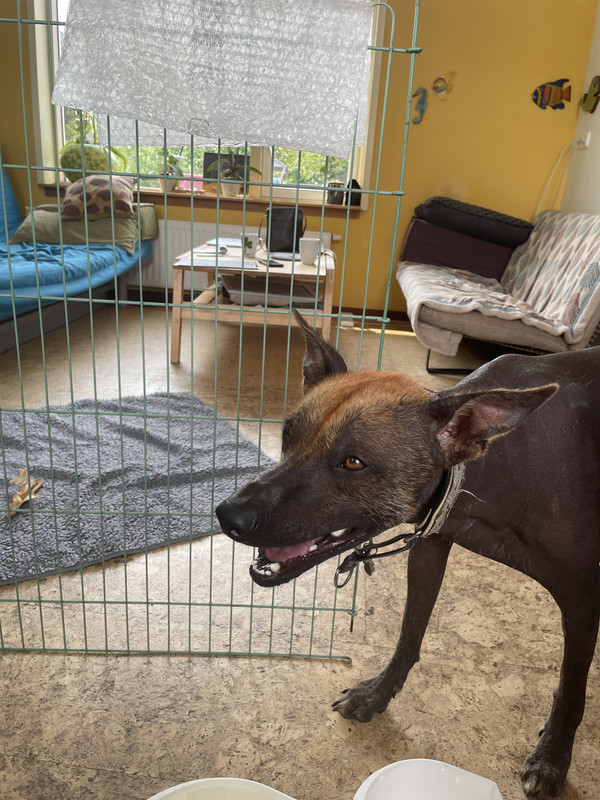 B6A343E9-E202-4B6E-9436-FD02455B317C