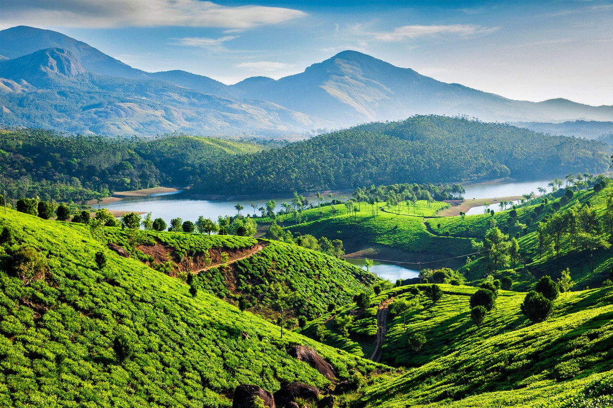 Timberland Camping in the Western Ghats, Coorg, Karnataka