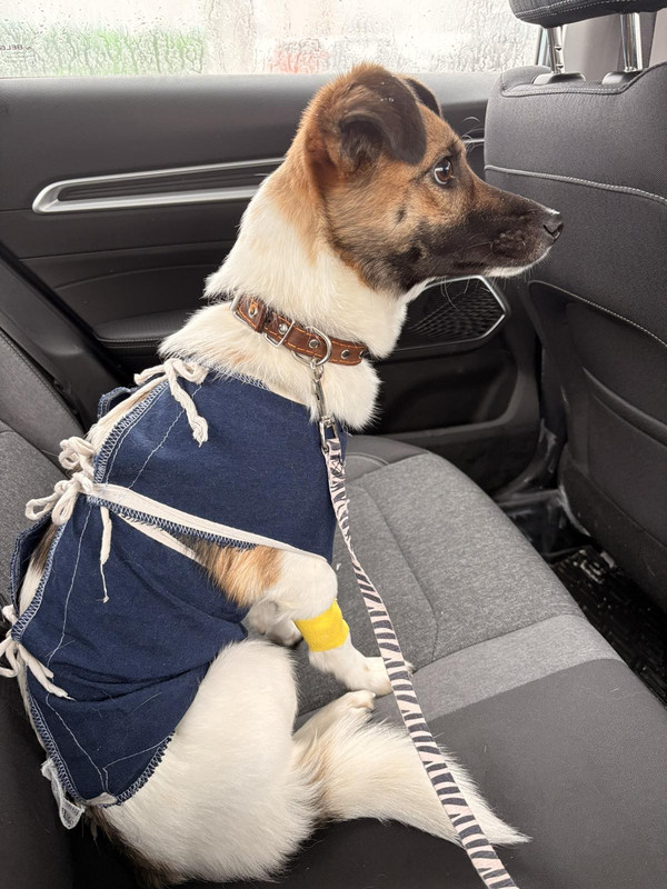 IMG 78c49f4f9b569adac958ea38f8623bbd V