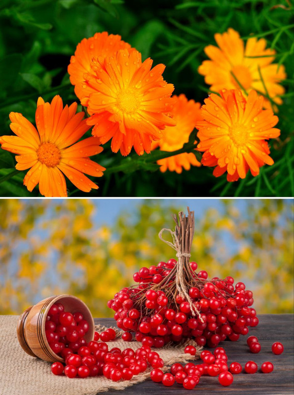 [Изображение: photo-2025-11-29-08-51-07.jpg]