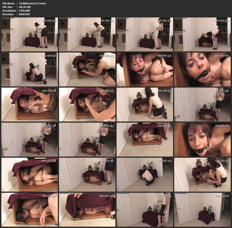 312Bdssmm312.wmv