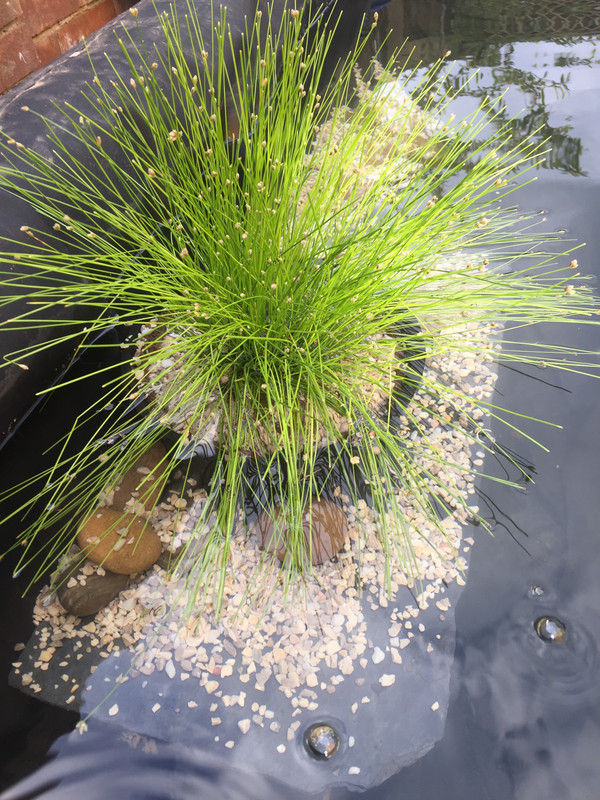 889CA1CE-8C83-449F-8289-B41C54FE23E6