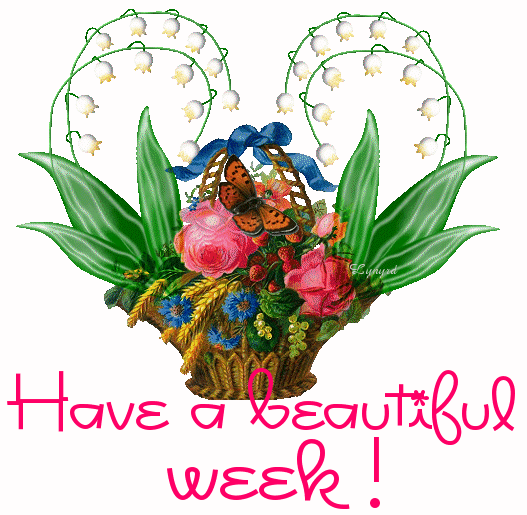 Week-Beautiful