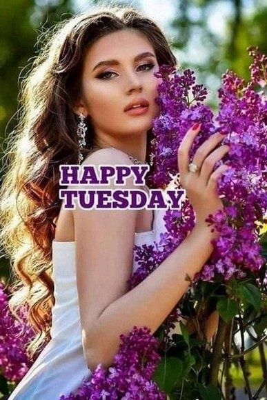 TUESDAY-mardi-1