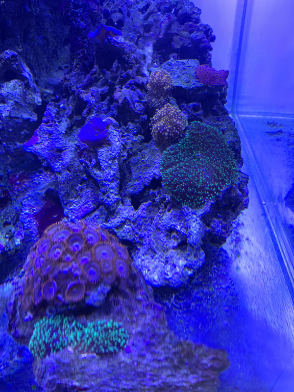 A66A3722-A0D2-4D28-A988-D2D8FC1CEC5B