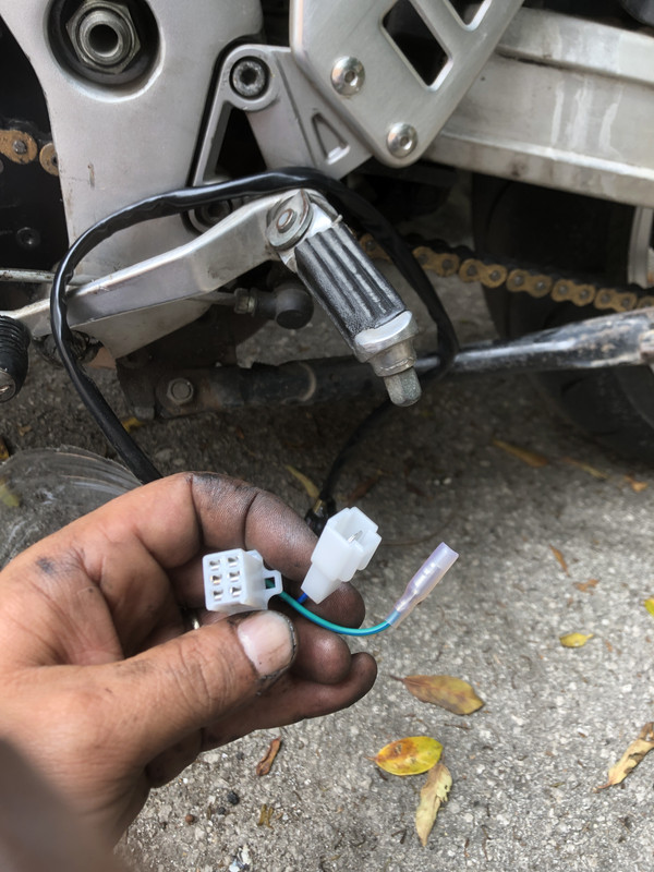 73C82F57-8519-4B01-9407-1035E7550317