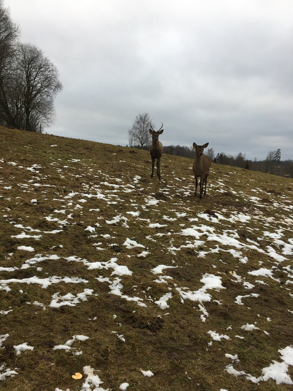 DEDE8749-BE84-4FCC-BAAB-A6BCBF660C46