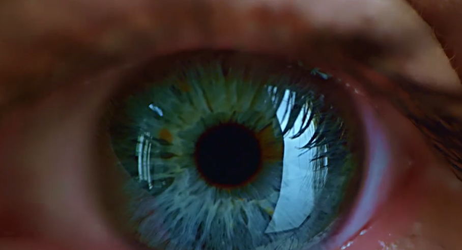 Hentaied – Oviposition ( Lily Ray )