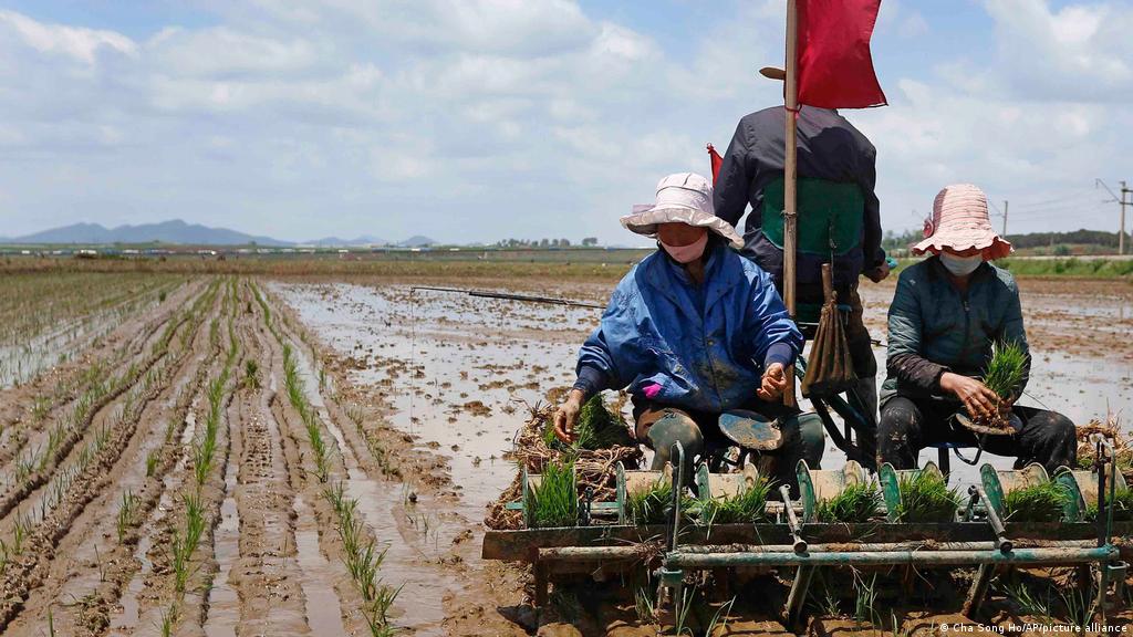 Corea del Norte pide a ciudadanos 