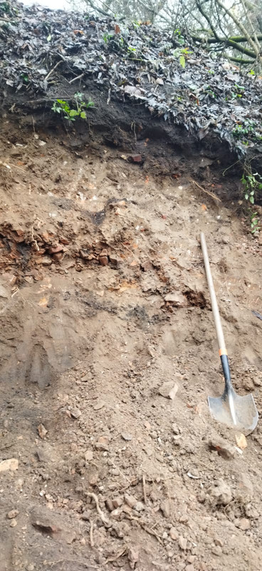 Whats App Image 2025 11 15 at 10 25 37