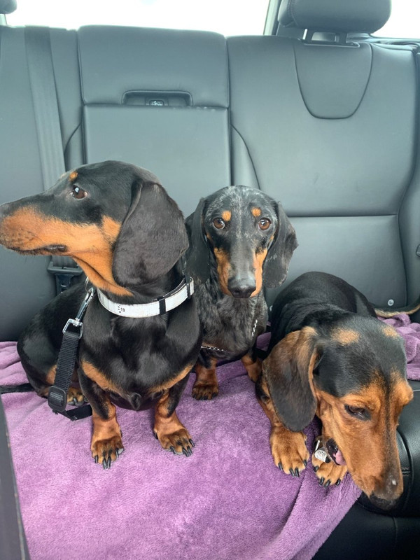 [Image: IMG-1688.jpg]