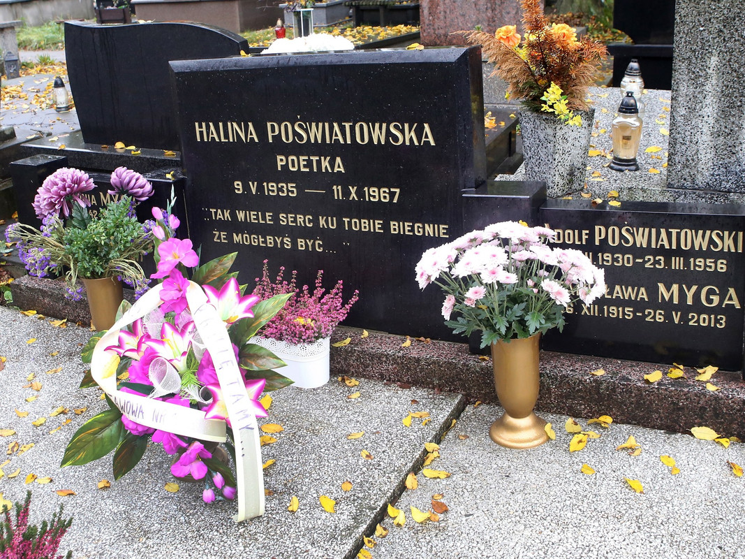 000A3P7QXON868K8-C466-F4