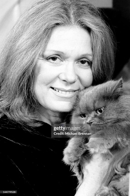 gettyimages-144779528-2048x2048