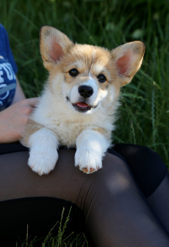 IMG_5531 грут 8.06.21