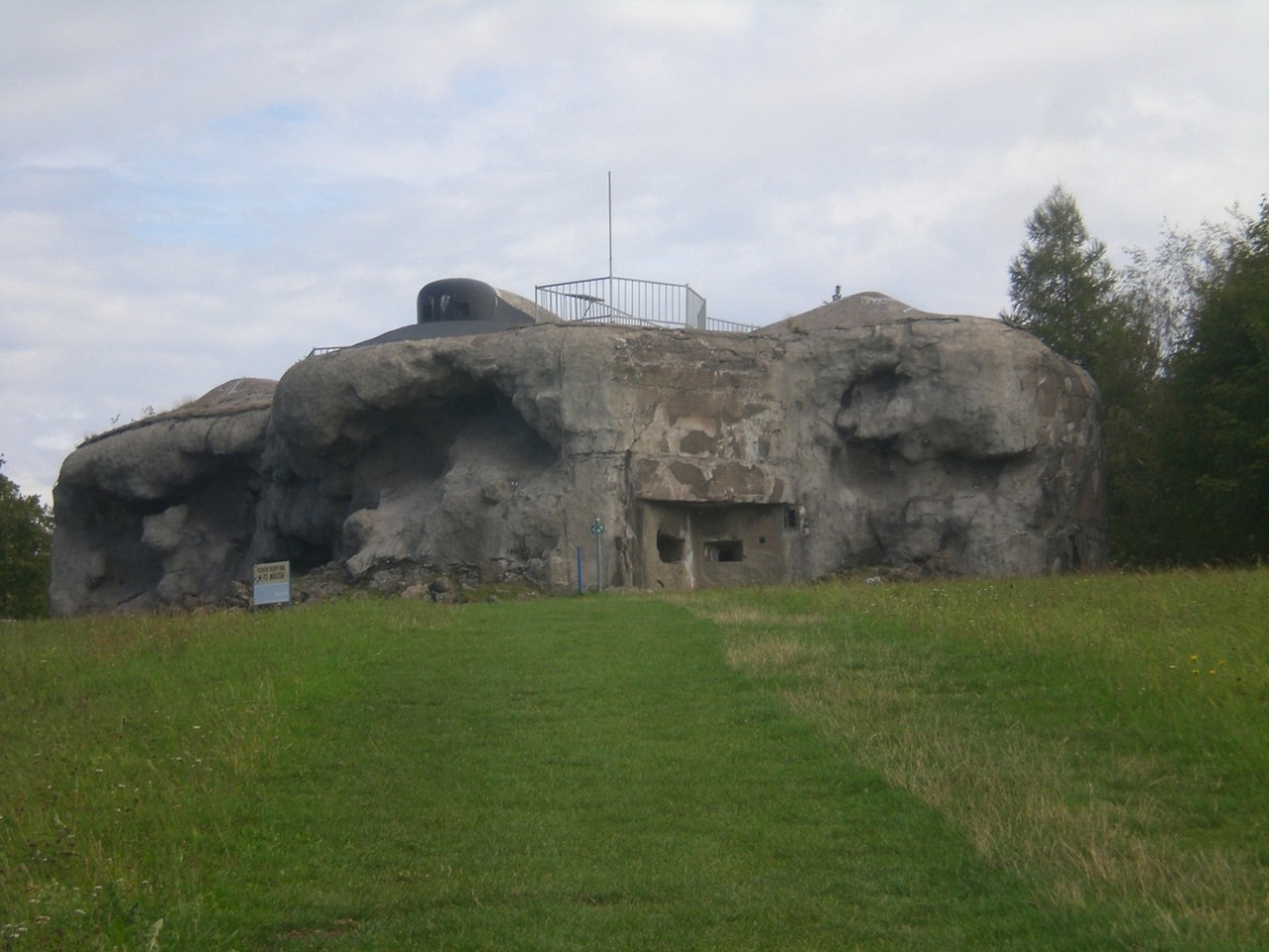 CIMG3237