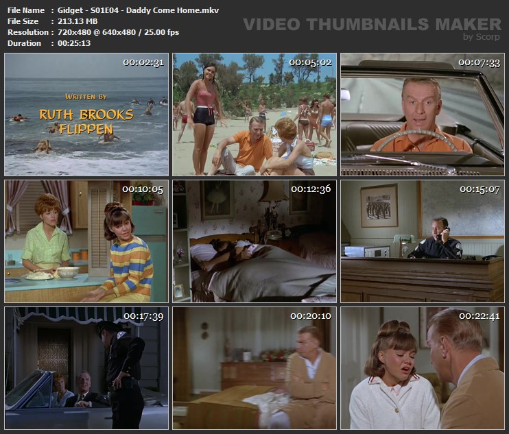 Gidget - S01E04 - Daddy Come Home.mkv