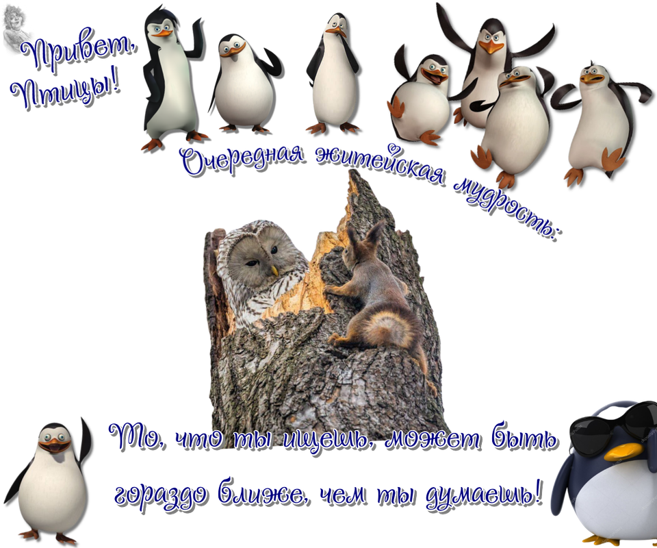 https://i.postimg.cc/nhGq8XP7/08-04.png