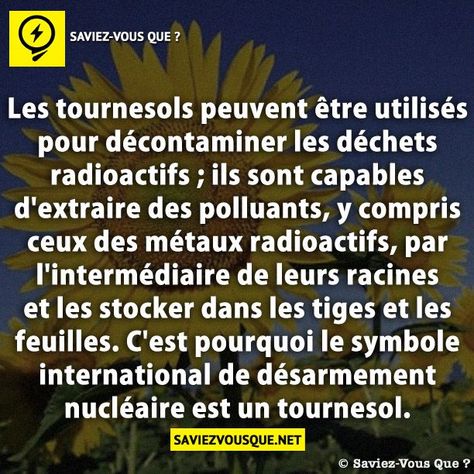 [SAMEDI] - Savoir et connaissances inutiles - [ARCHIVES 01] - Page 3 2022-03-19-si-01