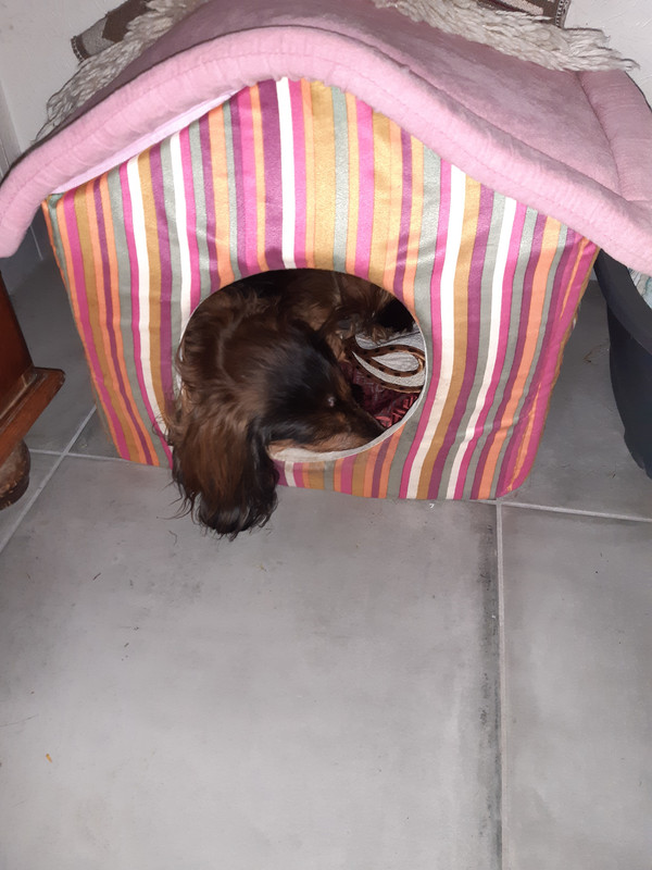 [Image: 20210427-165215.jpg]