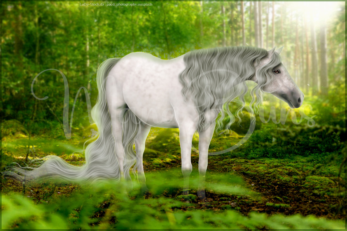 Sage-Warmblood-WIP