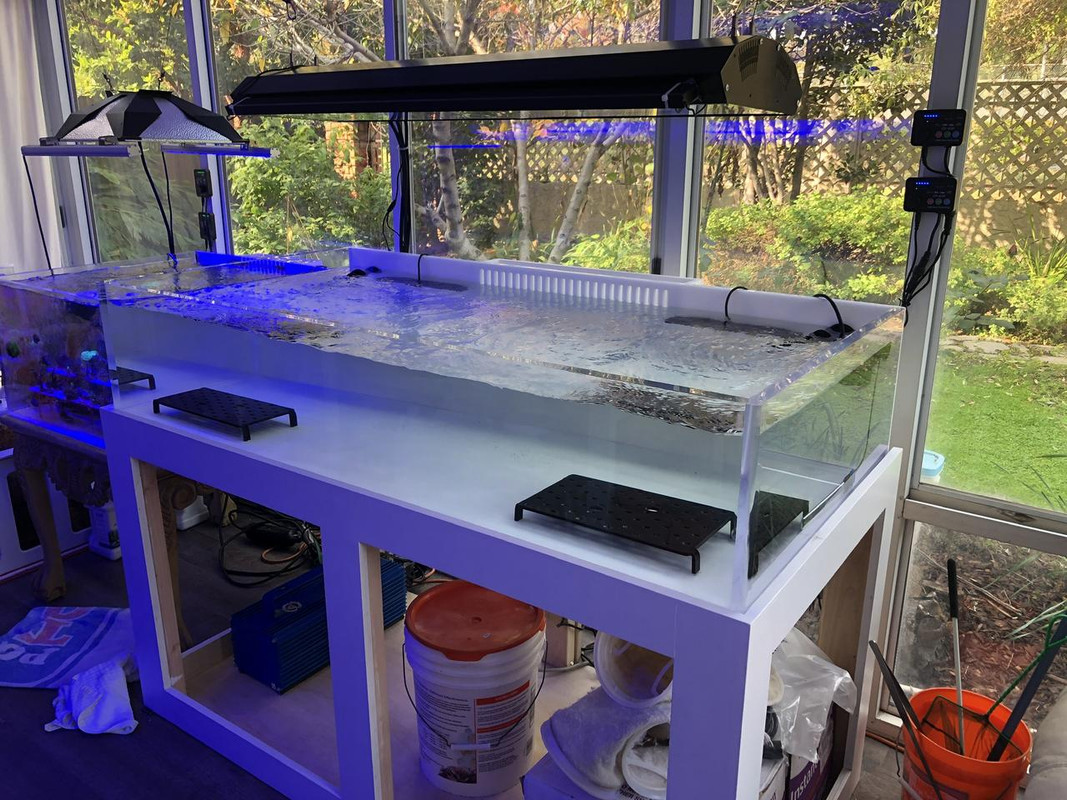 73952A9D-6D74-4F34-ACCE-3B2A07B216C6