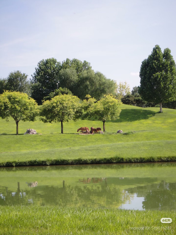 photo 13 2025 12 14 22 29 25